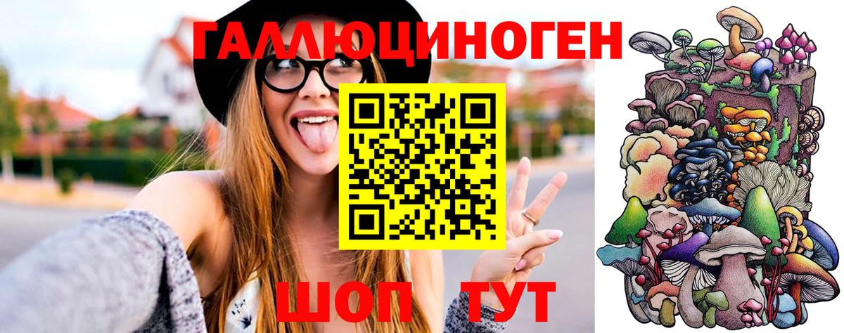 Псилоцибиновые грибы мицелий Магадан