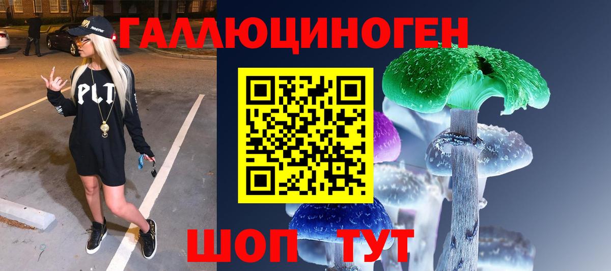 Галлюциногенные грибы Psilocybine cubensis  купить наркотики сайты  Магадан  Вход с VPN 